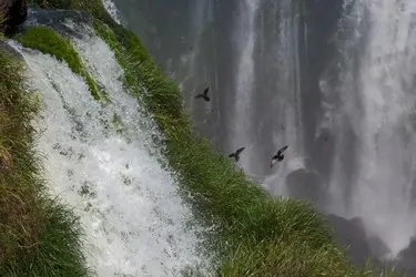 008 Brasilien Iguazu falls.jpg