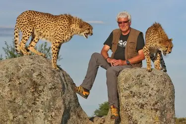 005 Geparden Lubiger Cheetah.jpeg.JPG