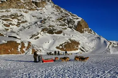 005 Fjord Grönland Hundeschlitten.jpeg.JPG