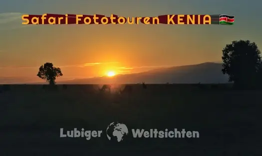 Kenia_Masai_Mara_Safari_060.jpg
